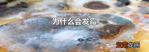 为什么会发霉