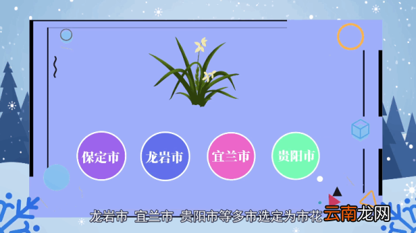 兰花花语 兰花花语是什么