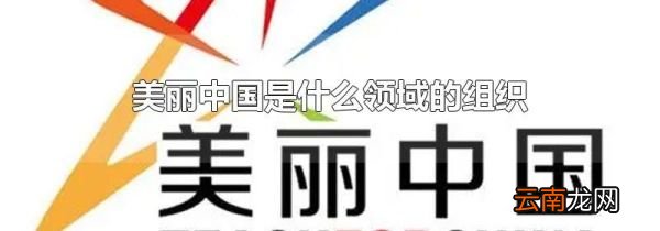 美丽中国是什么领域的组织