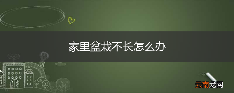 家里盆栽不长怎么办