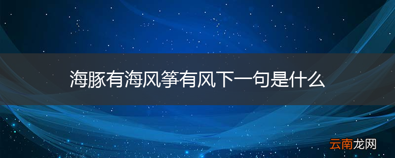 海豚有海风筝有风下一句是什么