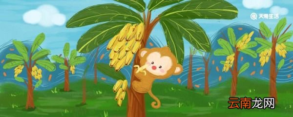 小猴子下山告诉我们的道理 小猴下山告诉我们一个怎样的道理