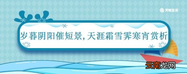 岁暮阴阳催短景,天涯霜雪霁寒宵赏析 天涯霜雪霁寒宵赏析
