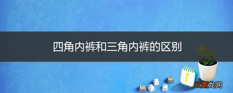 四角内裤和三角内裤的区别
