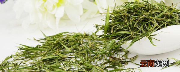 绿茶和酸奶能一起喝吗 绿茶能跟酸奶一起喝吗