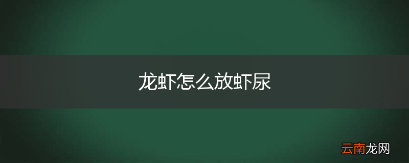 龙虾怎么放虾尿