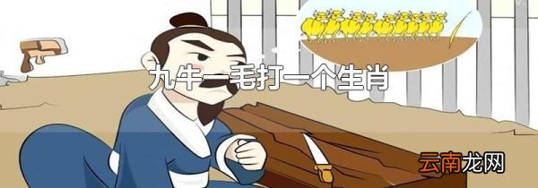 九牛一毛打一个生肖