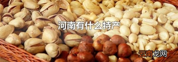 河南有什么特产