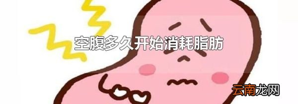 空腹多久开始消耗脂肪