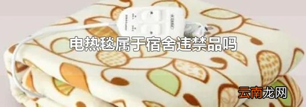 电热毯属于宿舍违禁品吗
