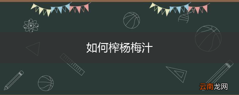 如何榨杨梅汁