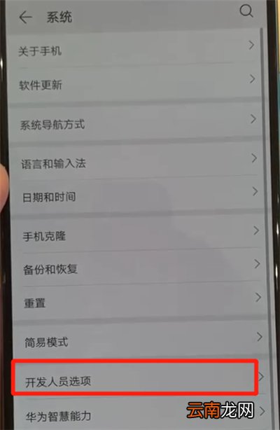 华为p30中退出开发者选项的操作教程