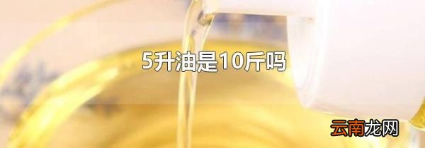 5升油是10斤吗