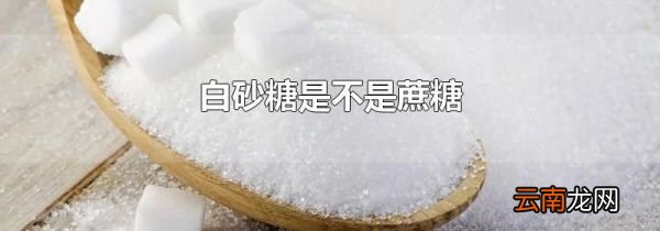 白砂糖是不是蔗糖