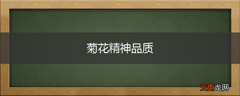 菊花精神品质