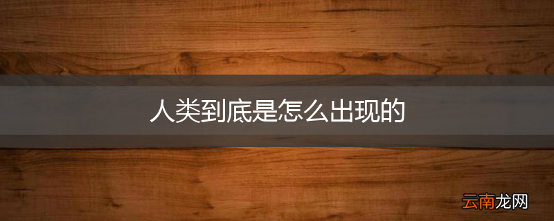人类到底是怎么出现的