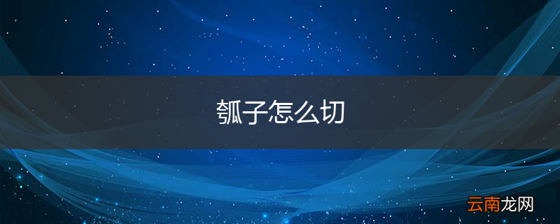 瓠子怎么切