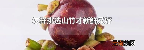 怎样挑选山竹才新鲜又好