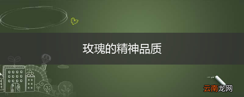 玫瑰的精神品质