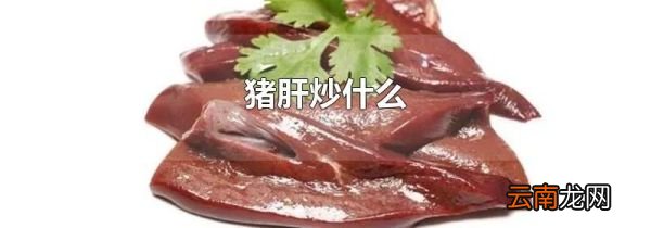 猪肝炒什么