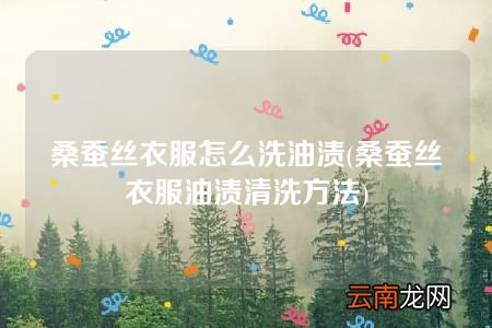 桑蚕丝衣服油渍清洗方法 桑蚕丝衣服怎么洗油渍