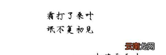 教你怎么起网名或笔名