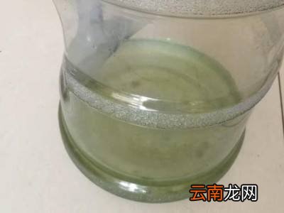 水桶内壁上的青苔清理方法