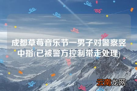 已被警方控制带走处理 成都草莓音乐节一男子对警察竖中指