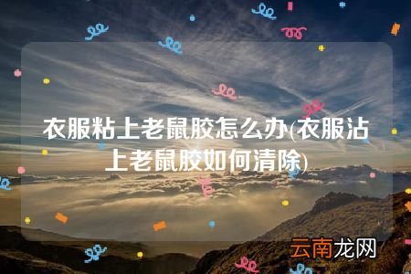 衣服沾上老鼠胶如何清除 衣服粘上老鼠胶怎么办