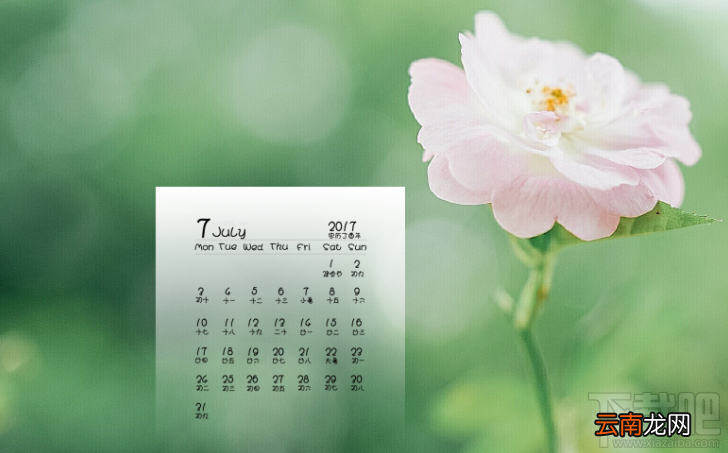 2017年7月上市的手机有哪些？7月发布的手机推荐大全