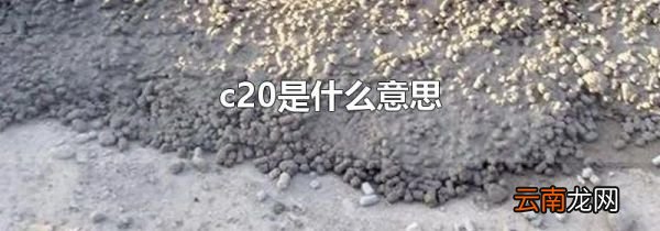 c20是什么意思