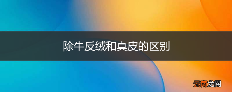 除牛反绒和真皮的区别