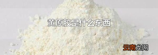 黄原胶是什么东西