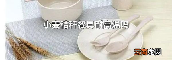 小麦秸秆餐具耐高温吗