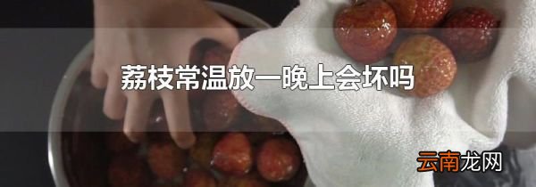 荔枝常温放一晚上会坏吗