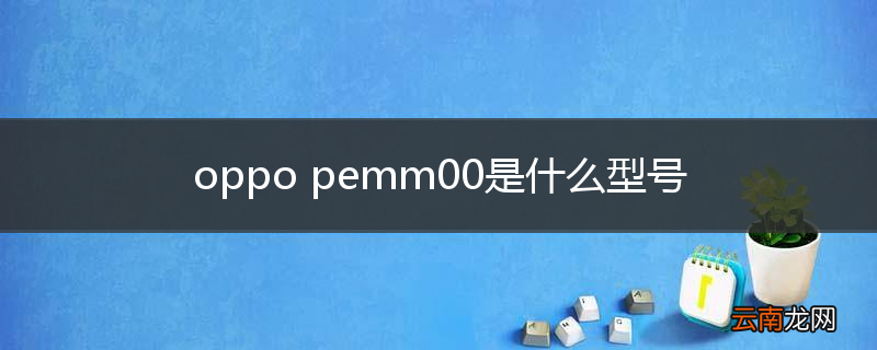 oppo pemm00是什么型号