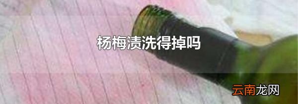 杨梅渍洗得掉吗