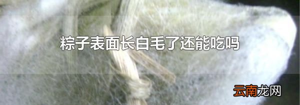 粽子表面长白毛了还能吃吗