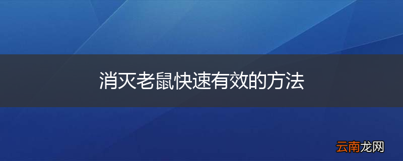 消灭老鼠快速有效的方法