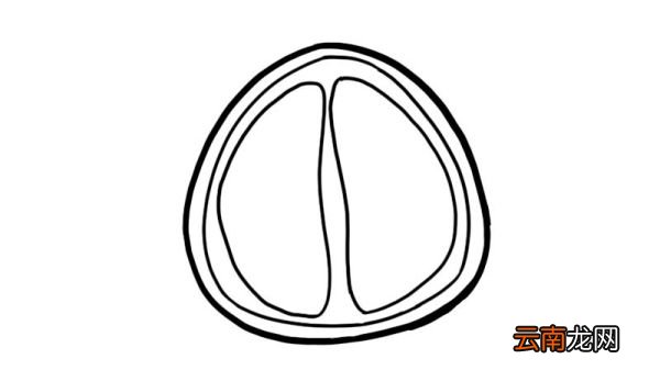 榴莲简笔画