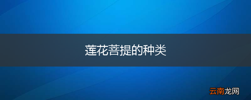 莲花菩提的种类