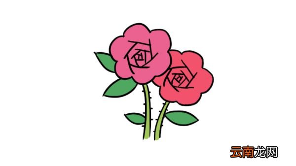 花卉简笔画