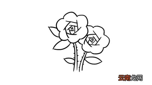 花卉简笔画