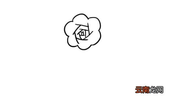 花卉简笔画