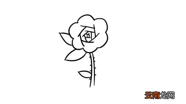 花卉简笔画