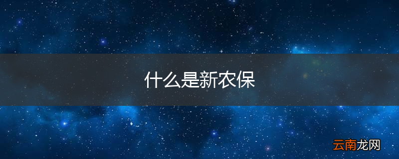 什么是新农保