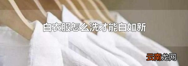 白衣服怎么洗才能白如新