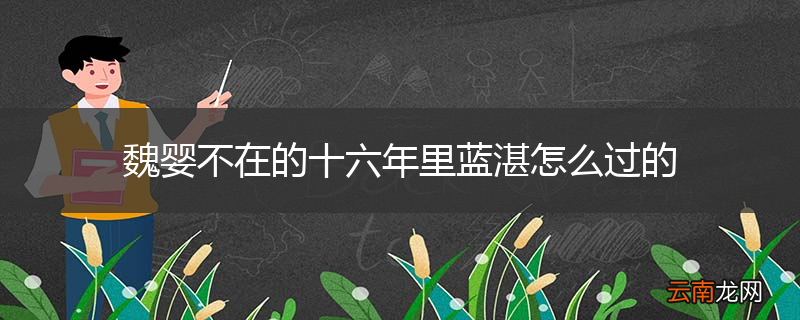 魏婴不在的十六年里蓝湛怎么过的