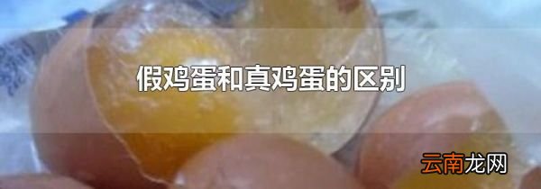 假鸡蛋和真鸡蛋的区别