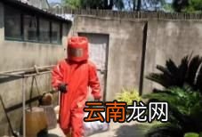 怎样安全快捷消灭马蜂窝